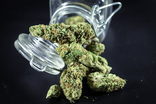 Detailaufnahme von Cannabisblüten, die aus einem Glasgefäß fallen, mit Betonung von Textur und Farbe.