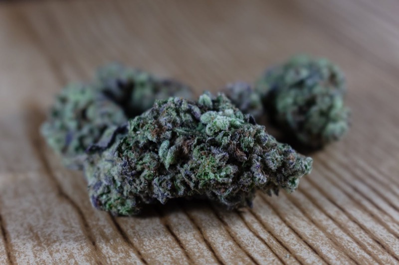 Getrocknete Cannabisblüten zur Curing-Bereitschaft in Einmachgläsern mit dichter Trichombedeckung