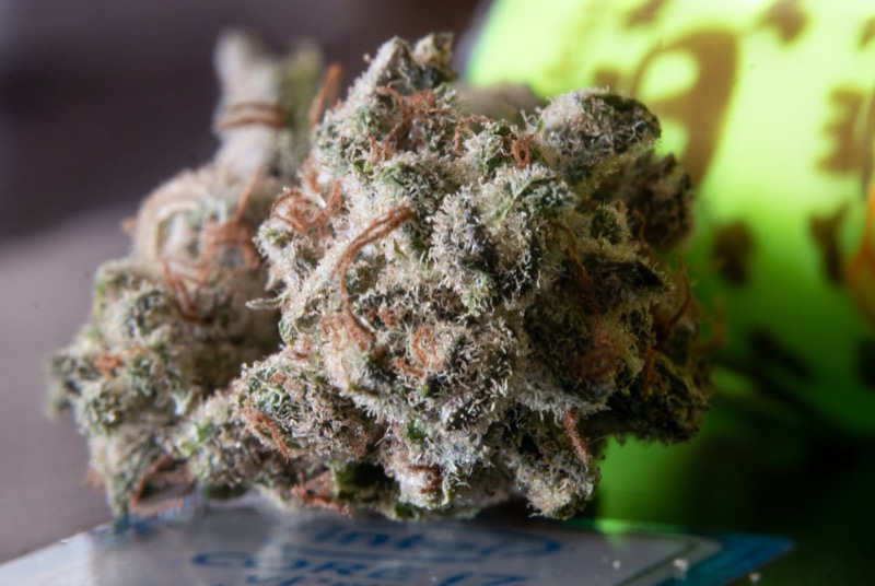 Makrofotografie einer korrekt gecurten Cannabisblüte mit intakter Trichomstruktur und bernsteinfarbenen Harzköpfen