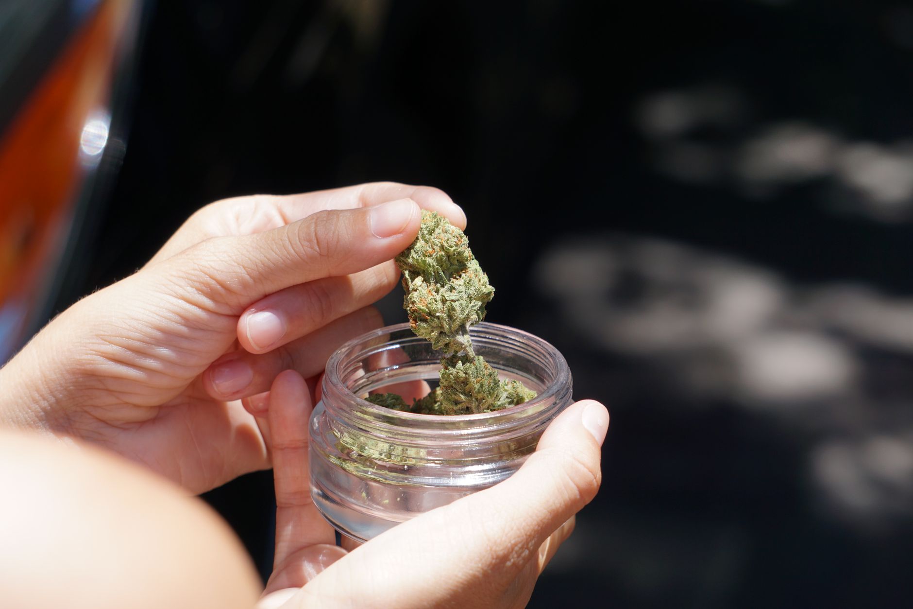 Nahaufnahme von Händen, die Cannabisblüten in einem Glasgefäß im Freien bei Tageslicht halten.