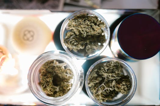 Nahaufnahme von Cannabisblüten in Gläsern von oben, die die Lagerung von Marihuana zeigen.