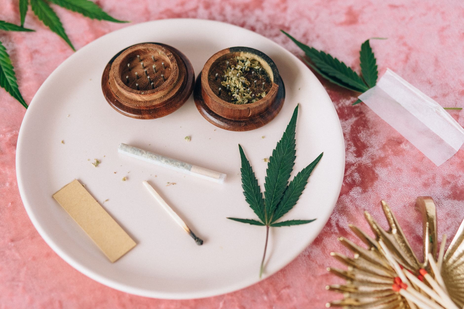 Draufsicht auf ein Cannabisblatt und Rollzubehör auf einem Teller – geeignet für Themen rund um medizinischen oder Freizeitkonsum.