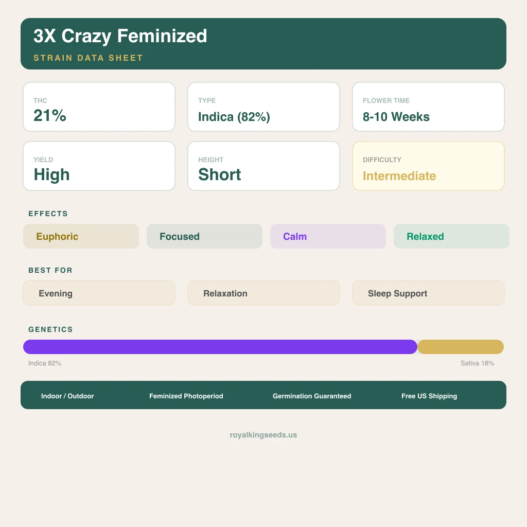 3X Crazy 82% Indica / 18% Sativa — Blüte mit sichtbaren Trichomen