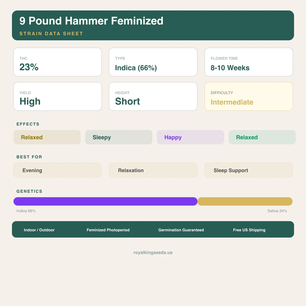 9 Pound Hammer 66% Indica / 34% Sativa — Blüte mit sichtbaren Trichomen