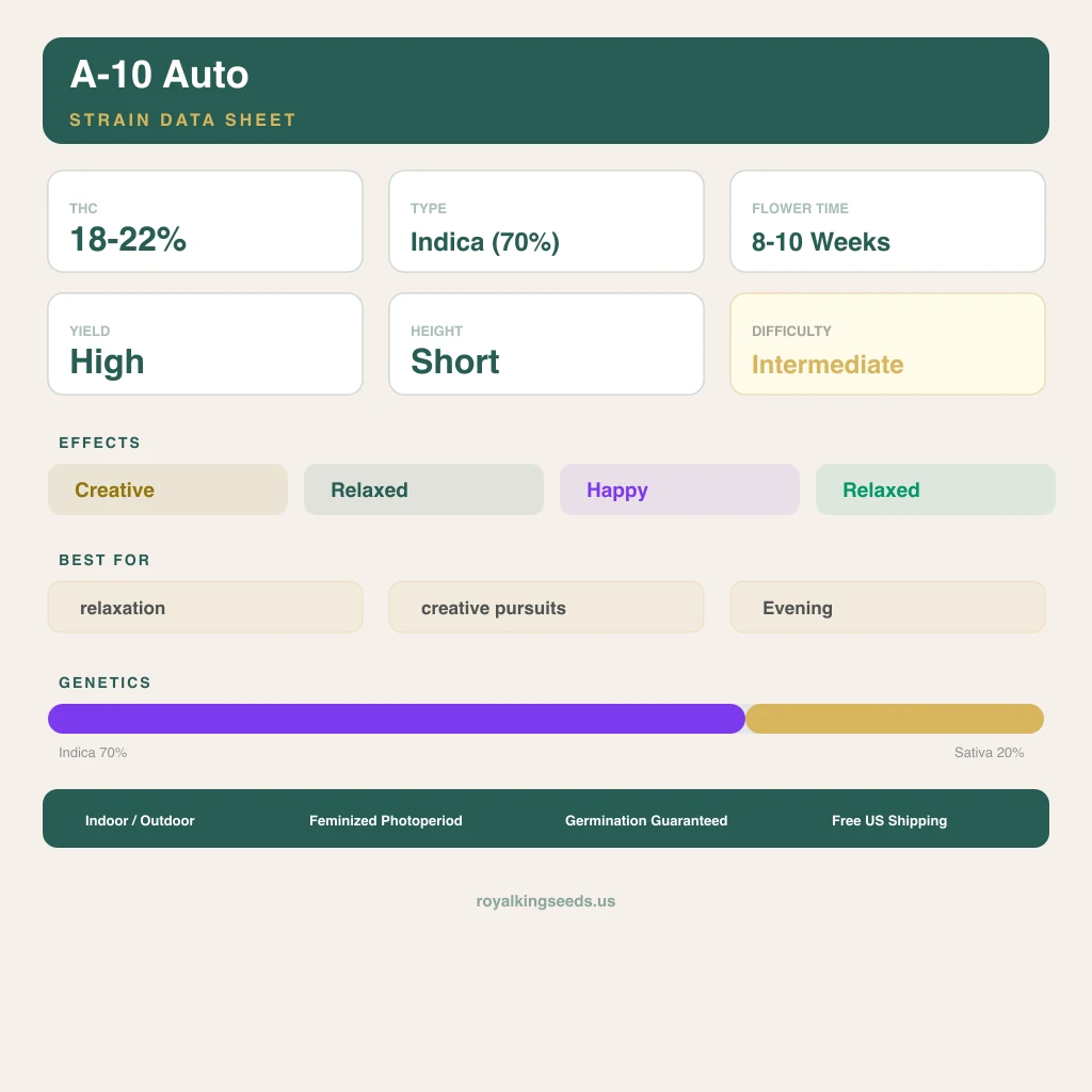 A-10 70% Indica / 20% Sativa — Blüte mit sichtbaren Trichomen
