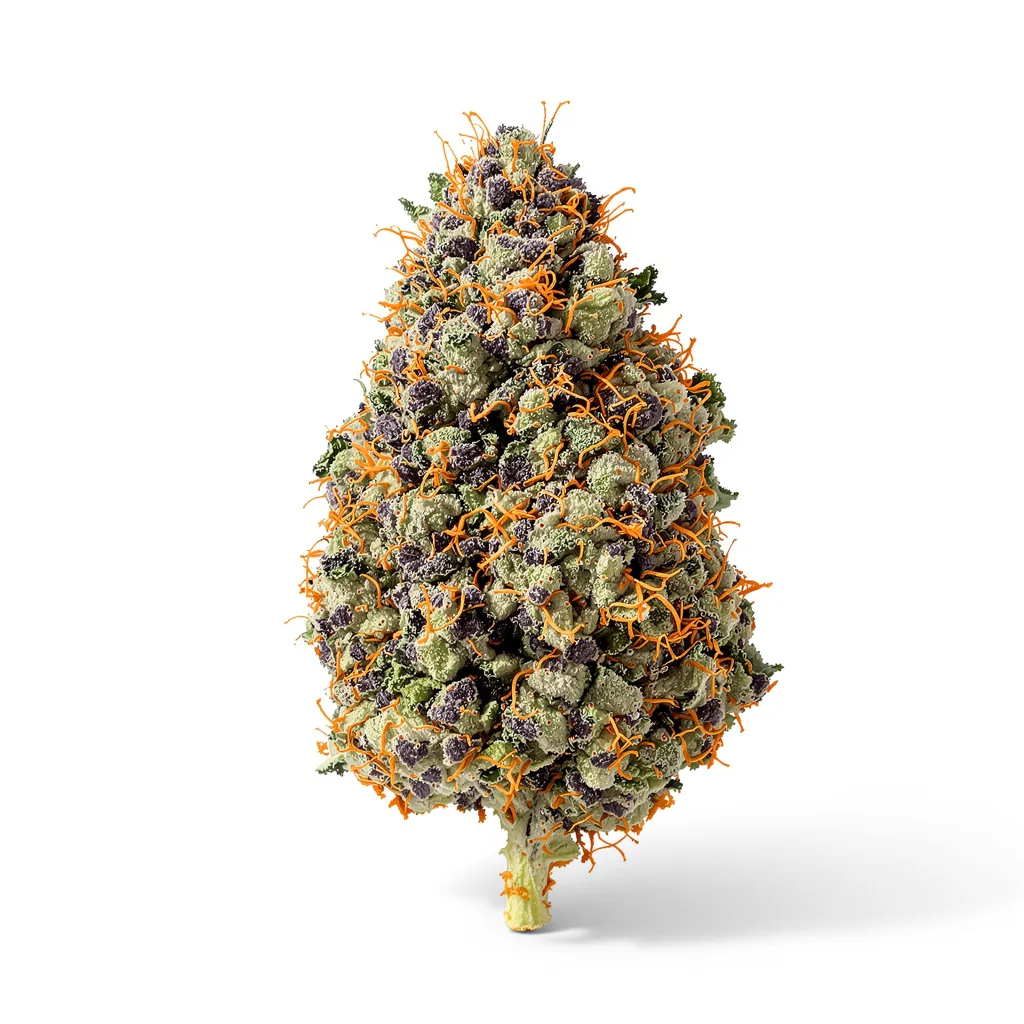 Abusive OG 85% Indica / 15% Sativa — Blüte mit sichtbaren Trichomen