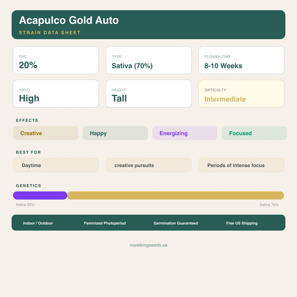 Acapulco Gold 20% Indica / 70% Sativa — Blüte mit sichtbaren Trichomen