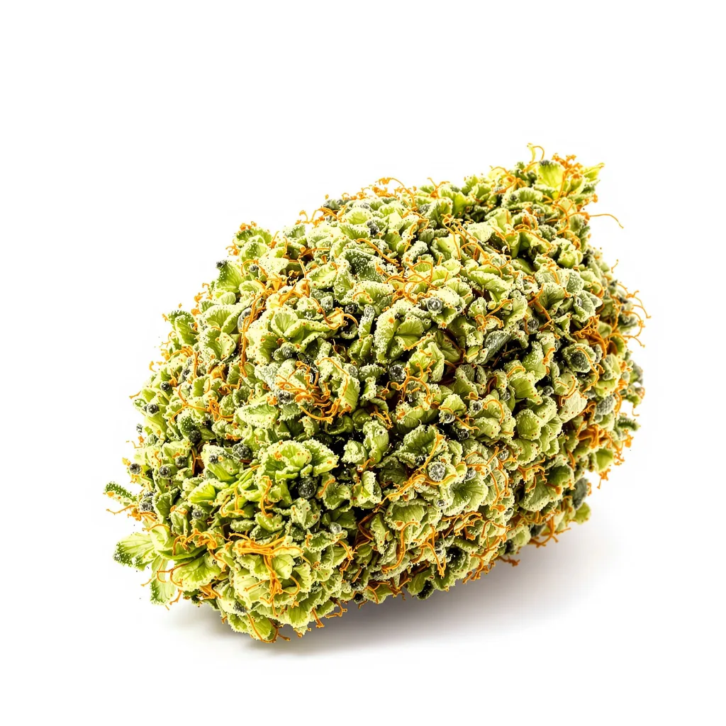 Acapulco Gold 20% Indica / 70% Sativa — Blüte mit sichtbaren Trichomen