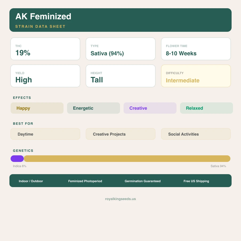 AK 6% Indica / 94% Sativa — Blüte mit sichtbaren Trichomen