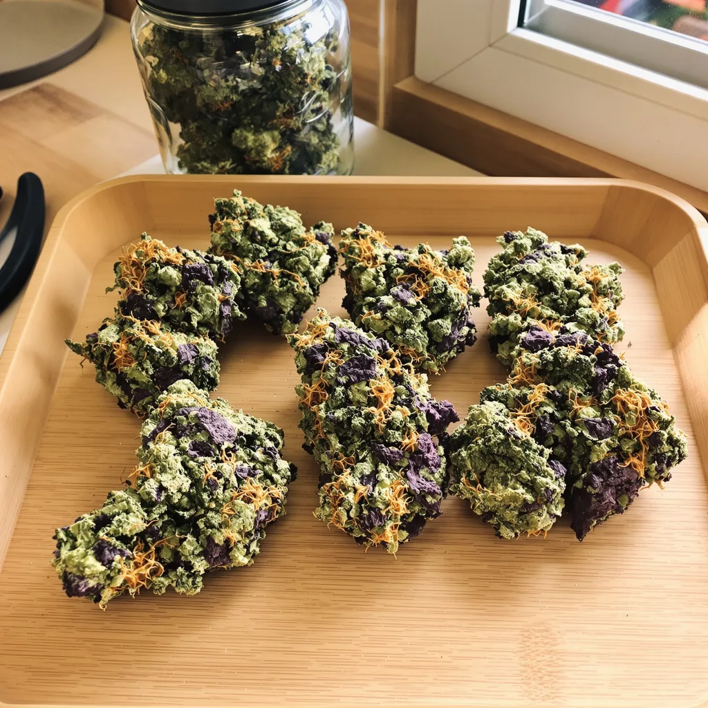 Alien Bubba 79% Indica / 21% Sativa — Blüte mit sichtbaren Trichomen