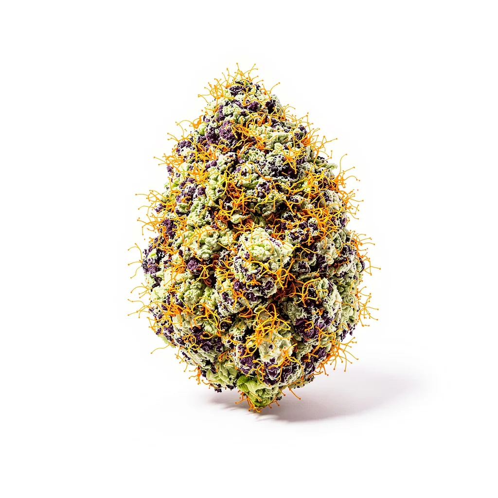 Alien Bubba 79% Indica / 21% Sativa — Blüte mit sichtbaren Trichomen