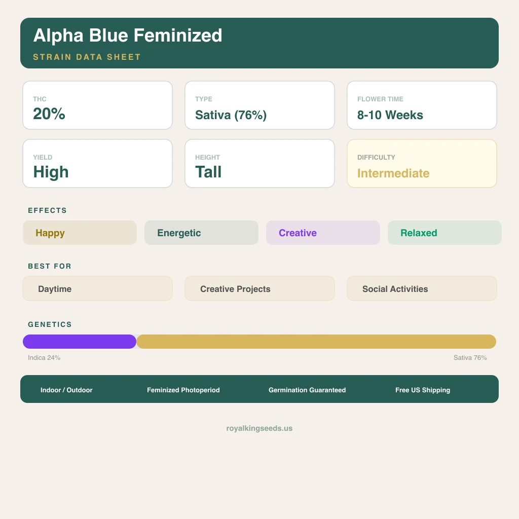 Alpha Blue 24% Indica / 76% Sativa — Blüte mit sichtbaren Trichomen