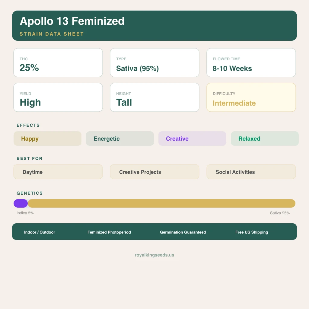 Apollo 13 5% Indica / 95% Sativa — Blüte mit sichtbaren Trichomen