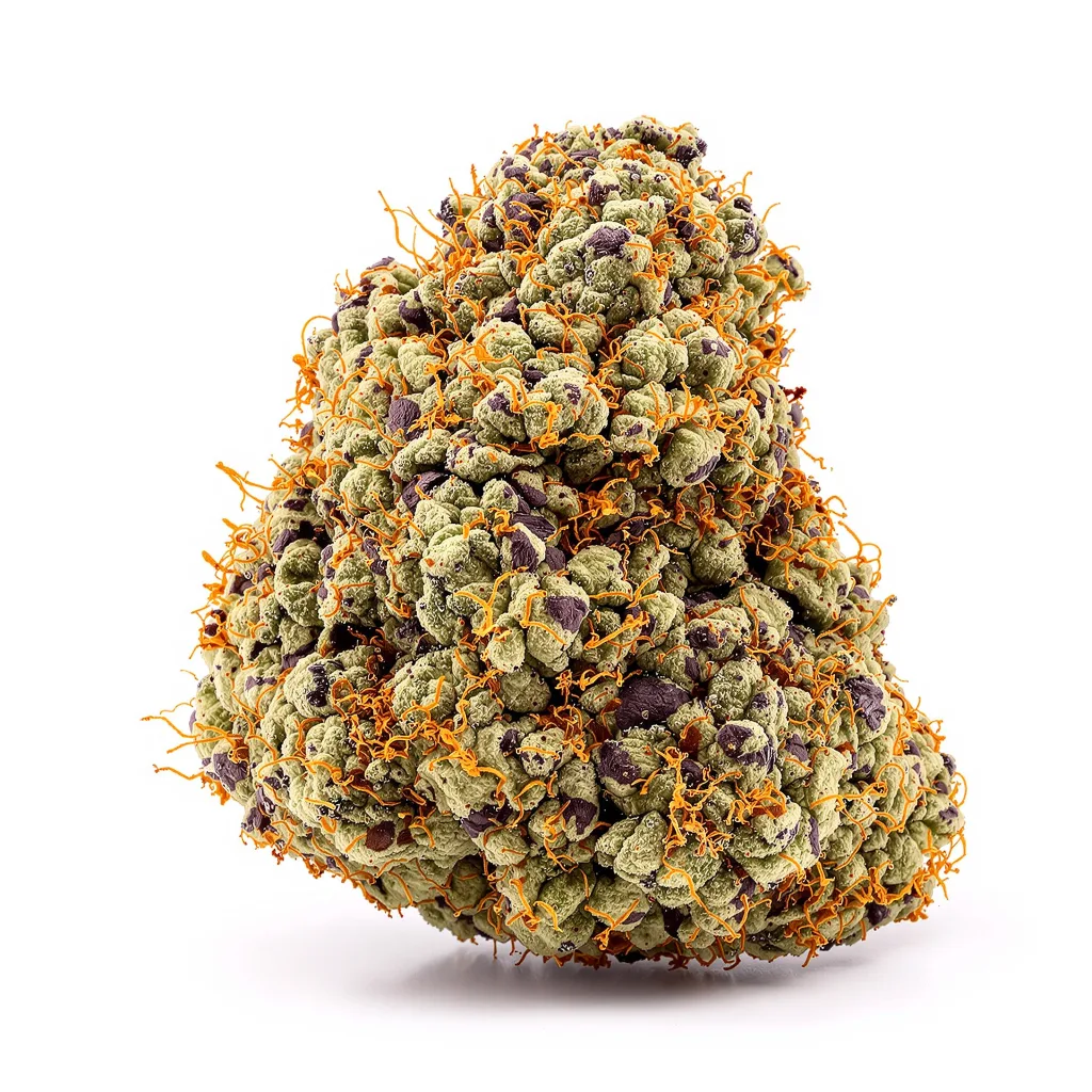 Banana Cream OG 73% Indica / 27% Sativa — Blüte mit sichtbaren Trichomen
