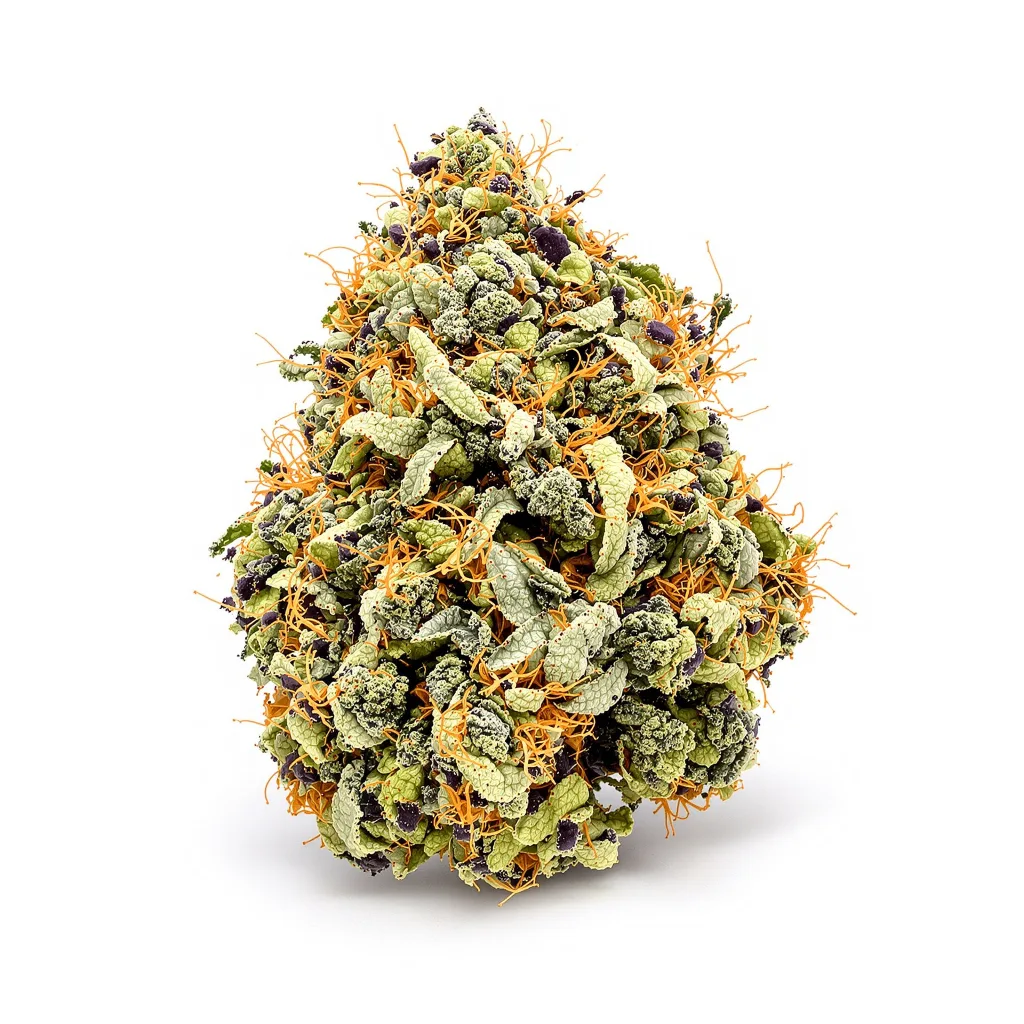 Barbara Bud 69% Indica / 31% Sativa — Blüte mit sichtbaren Trichomen