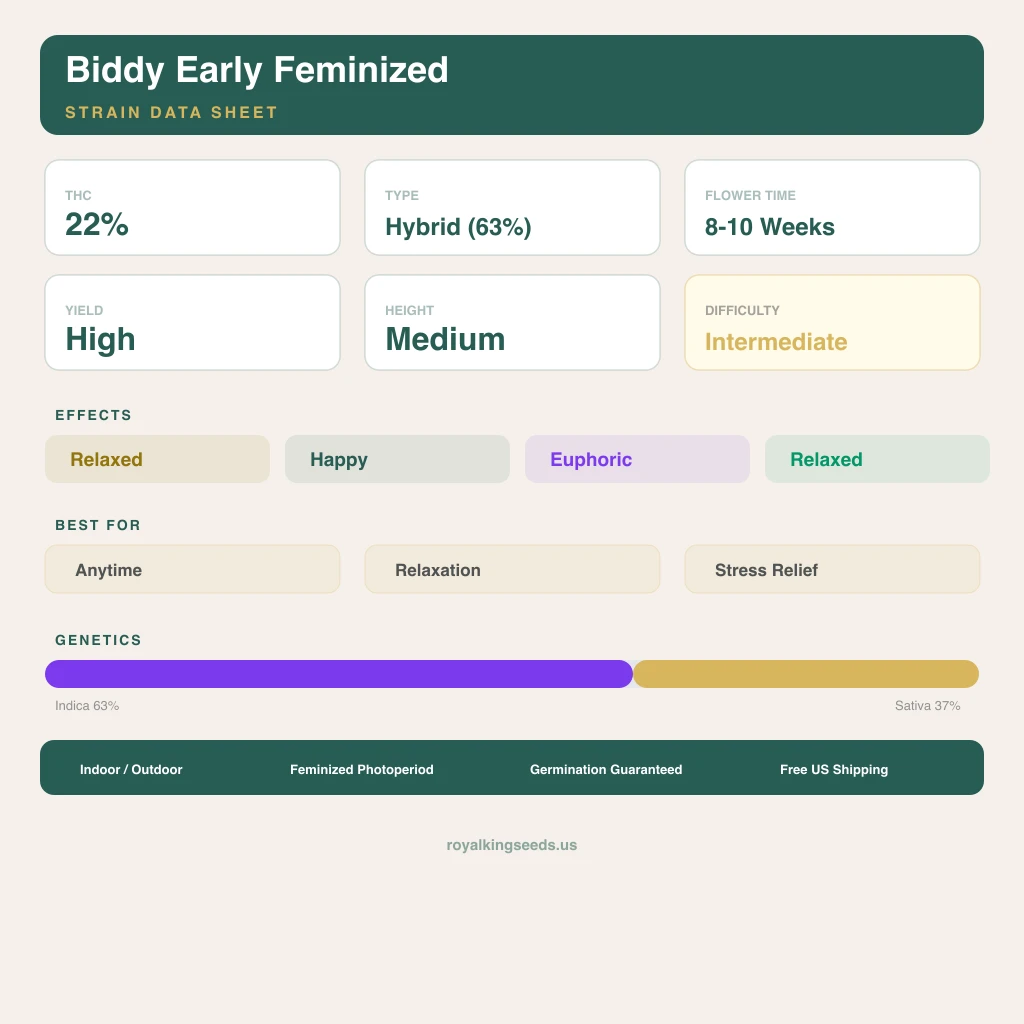 Biddy Early 63% Indica / 37% Sativa — Blüte mit sichtbaren Trichomen