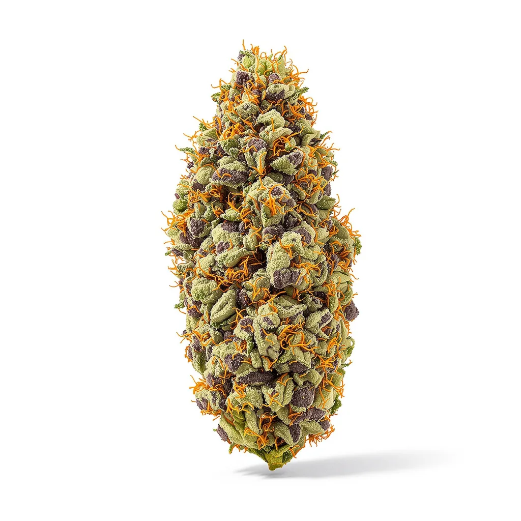 Big Cheese 84% Indica / 16% Sativa — Blüte mit sichtbaren Trichomen