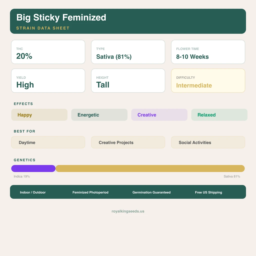 Big Sticky 19% Indica / 81% Sativa — Blüte mit sichtbaren Trichomen