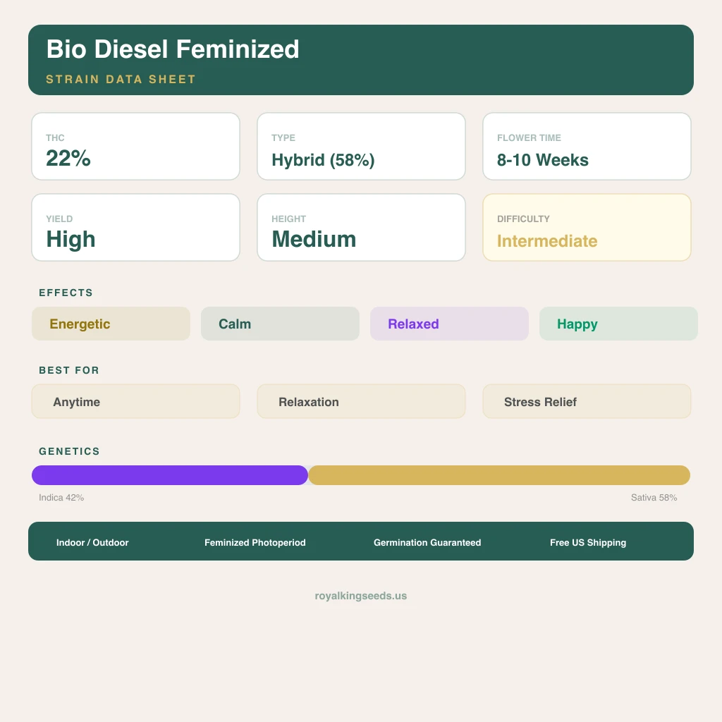 Bio Diesel 42% Indica / 58% Sativa — Blüte mit sichtbaren Trichomen