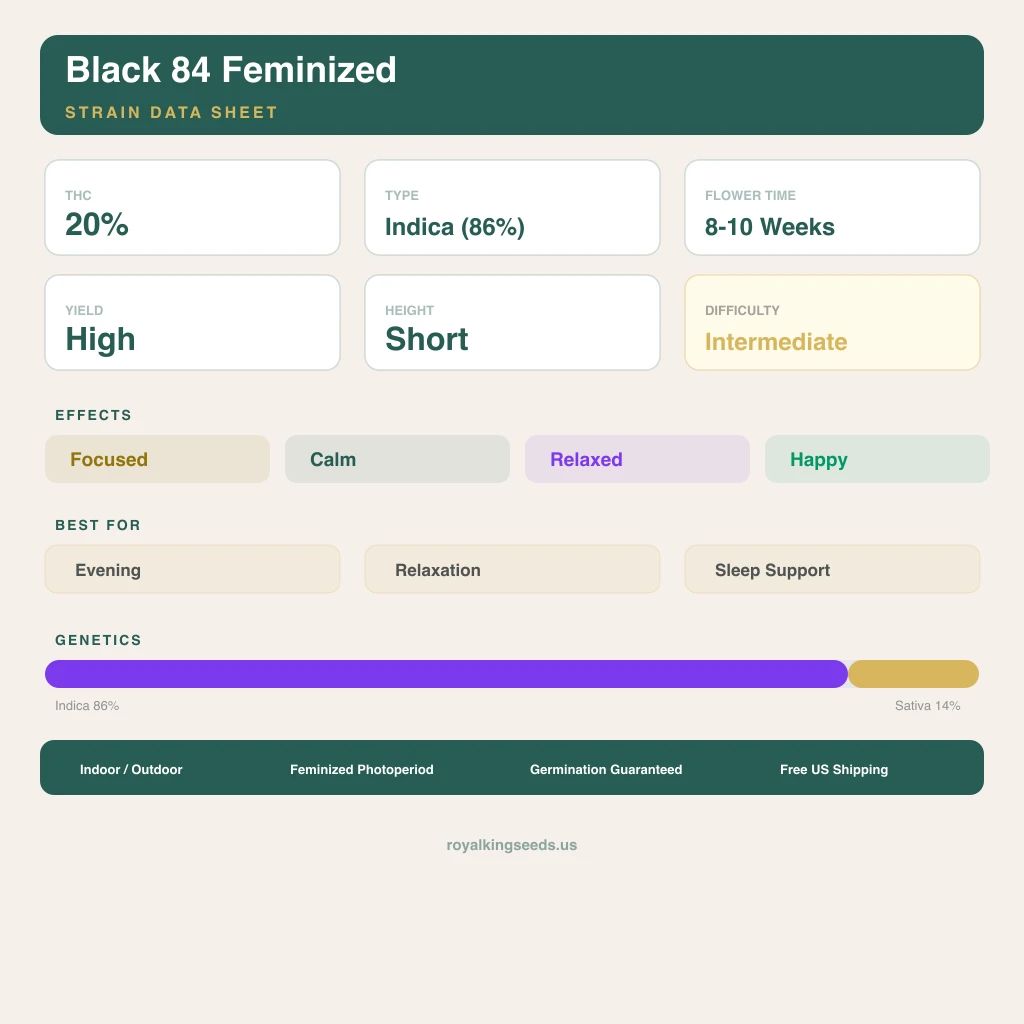 Black 84 86% Indica / 14% Sativa — Blüte mit sichtbaren Trichomen