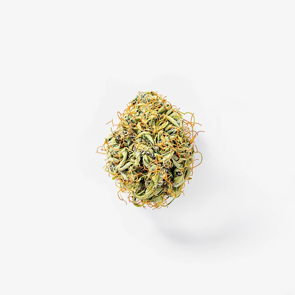 Black Cherry Soda 20% Indica / 80% Sativa — Blüte mit sichtbaren Trichomen