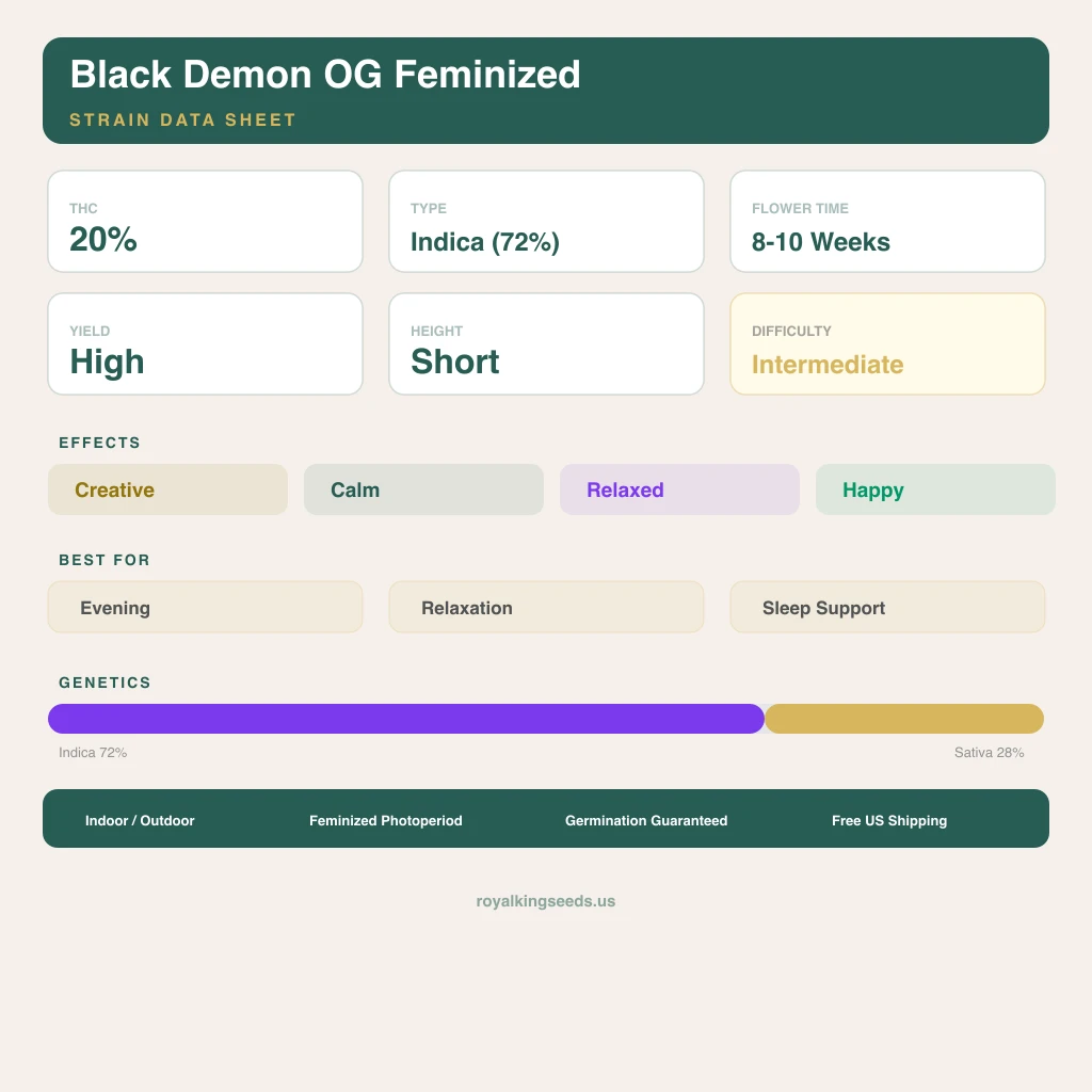 Black Demon OG 72% Indica / 28% Sativa — Blüte mit sichtbaren Trichomen