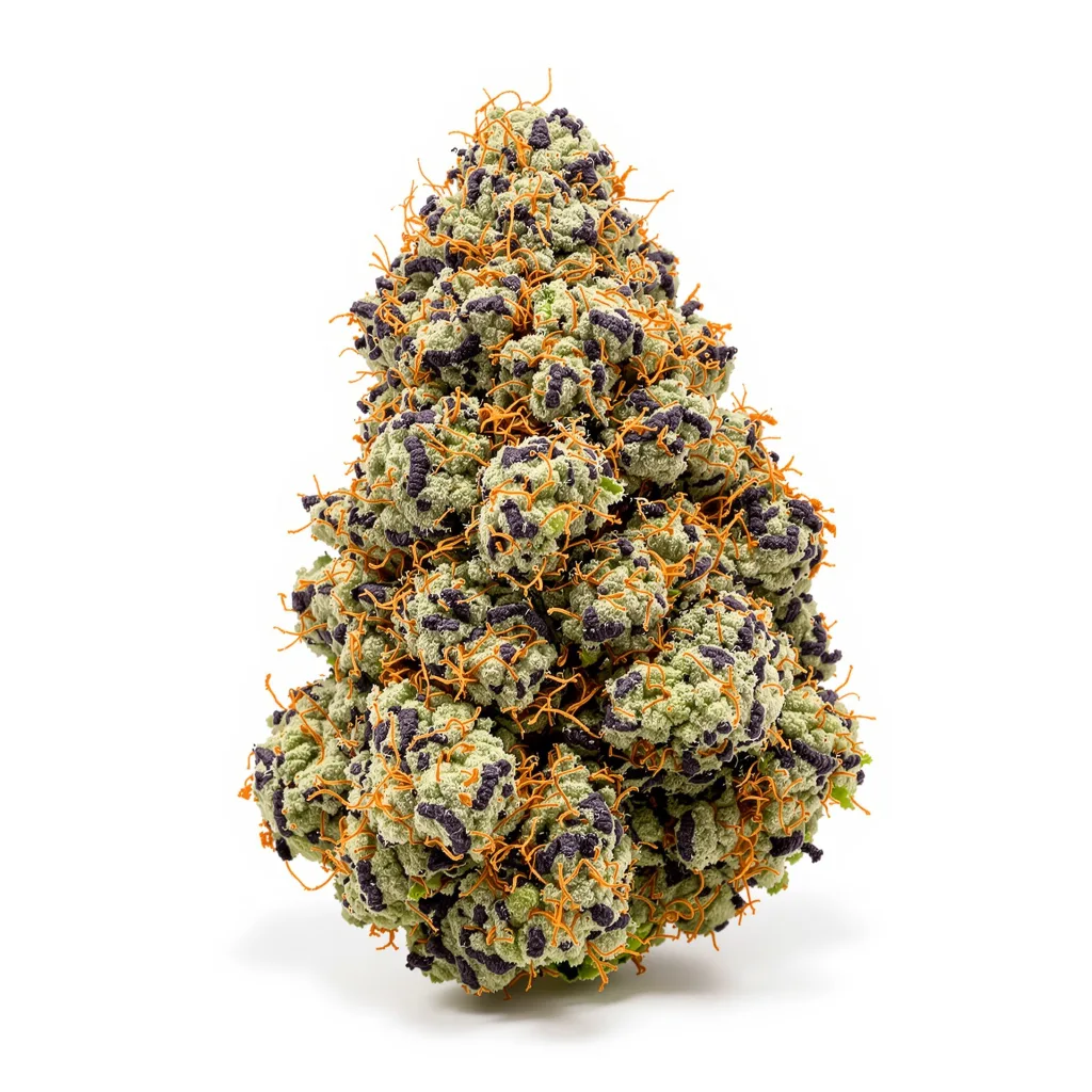 Blackberry Kush 80% Indica / 20% Sativa — Blüte mit sichtbaren Trichomen