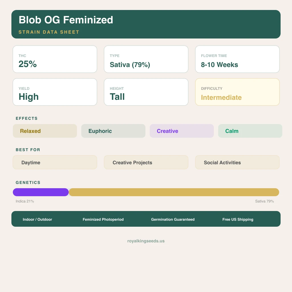 Blob OG 21% Indica / 79% Sativa — Blüte mit sichtbaren Trichomen