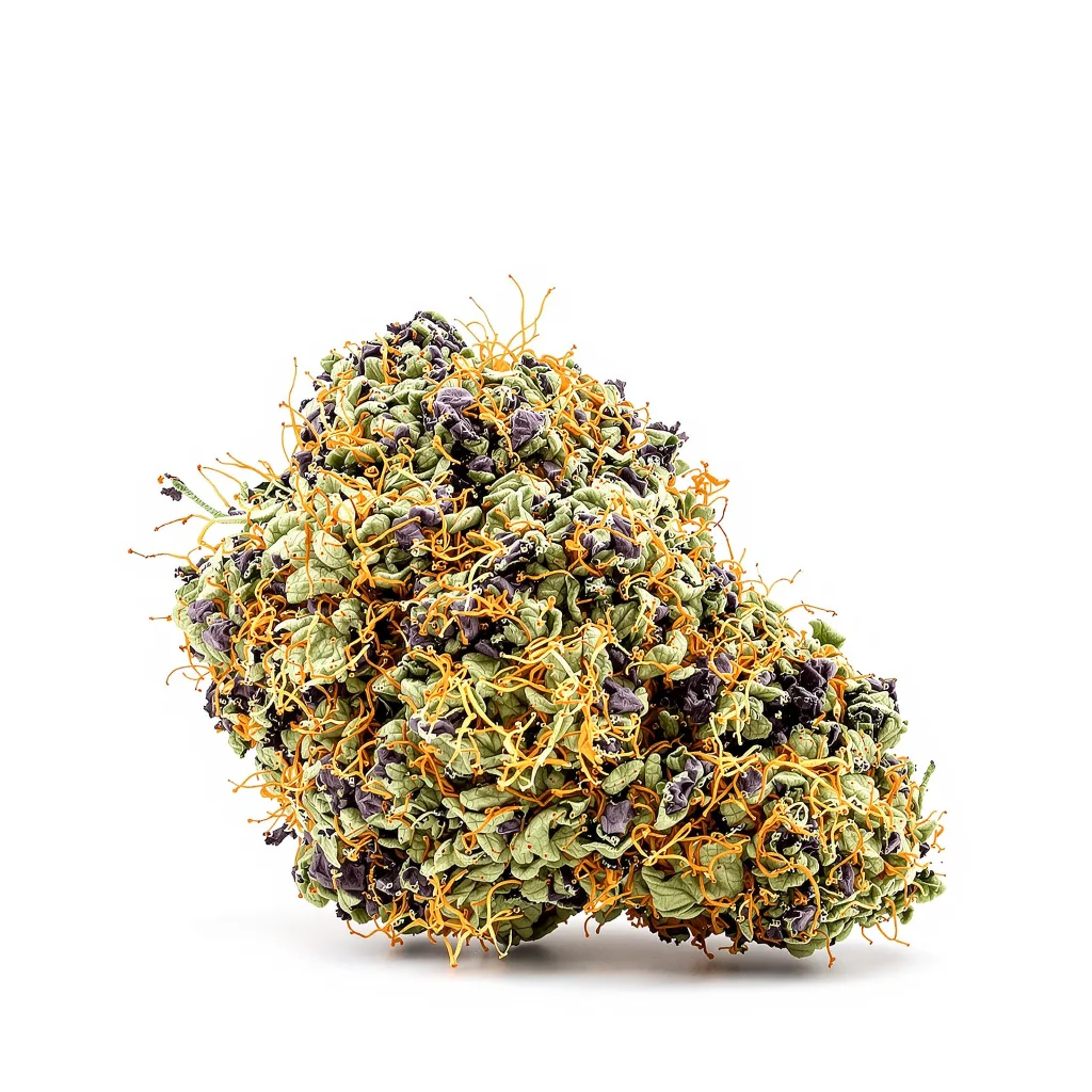 Blue Blood 72% Indica / 28% Sativa — Blüte mit sichtbaren Trichomen