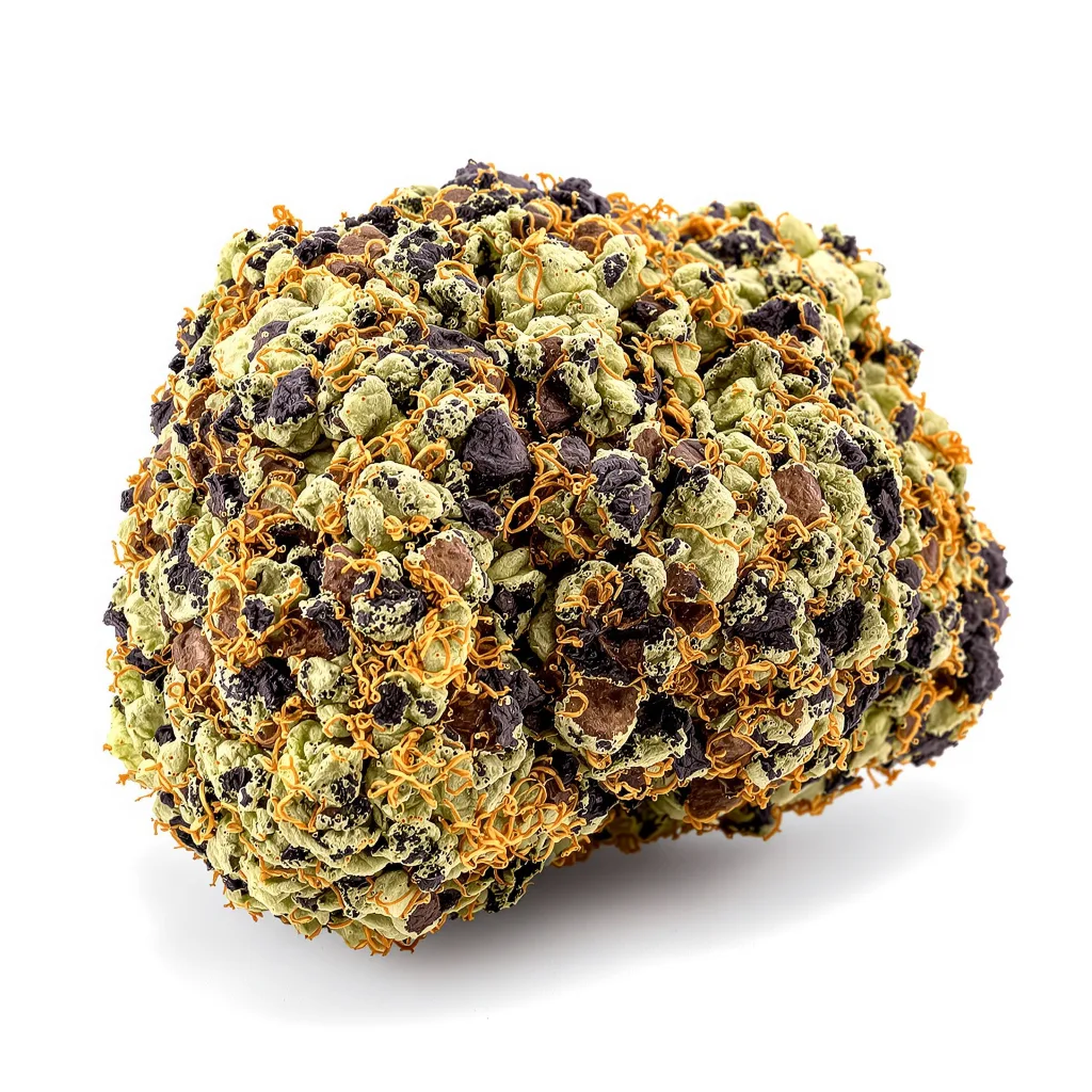 Blue Buddha 69% Indica / 31% Sativa — Blüte mit sichtbaren Trichomen