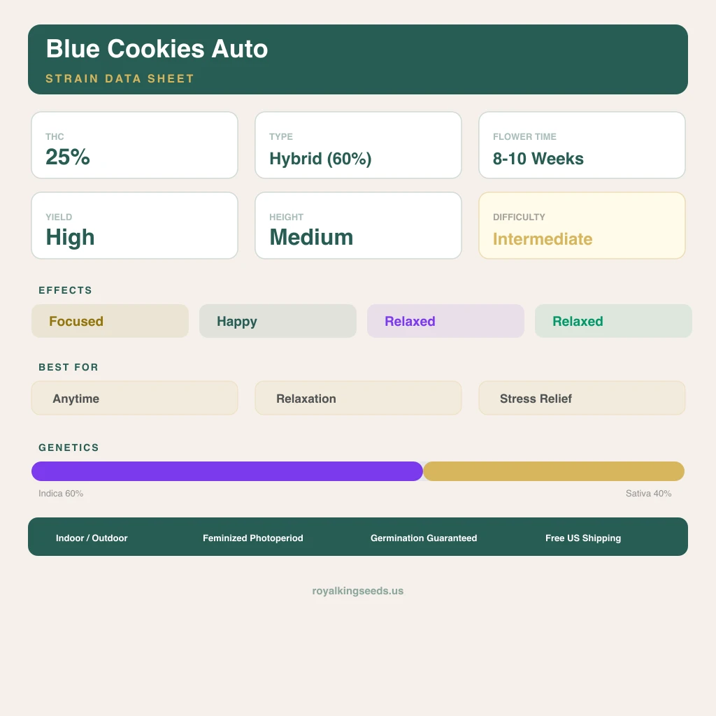 Blue Cookies 60% Indica / 40% Sativa — Blüte mit sichtbaren Trichomen