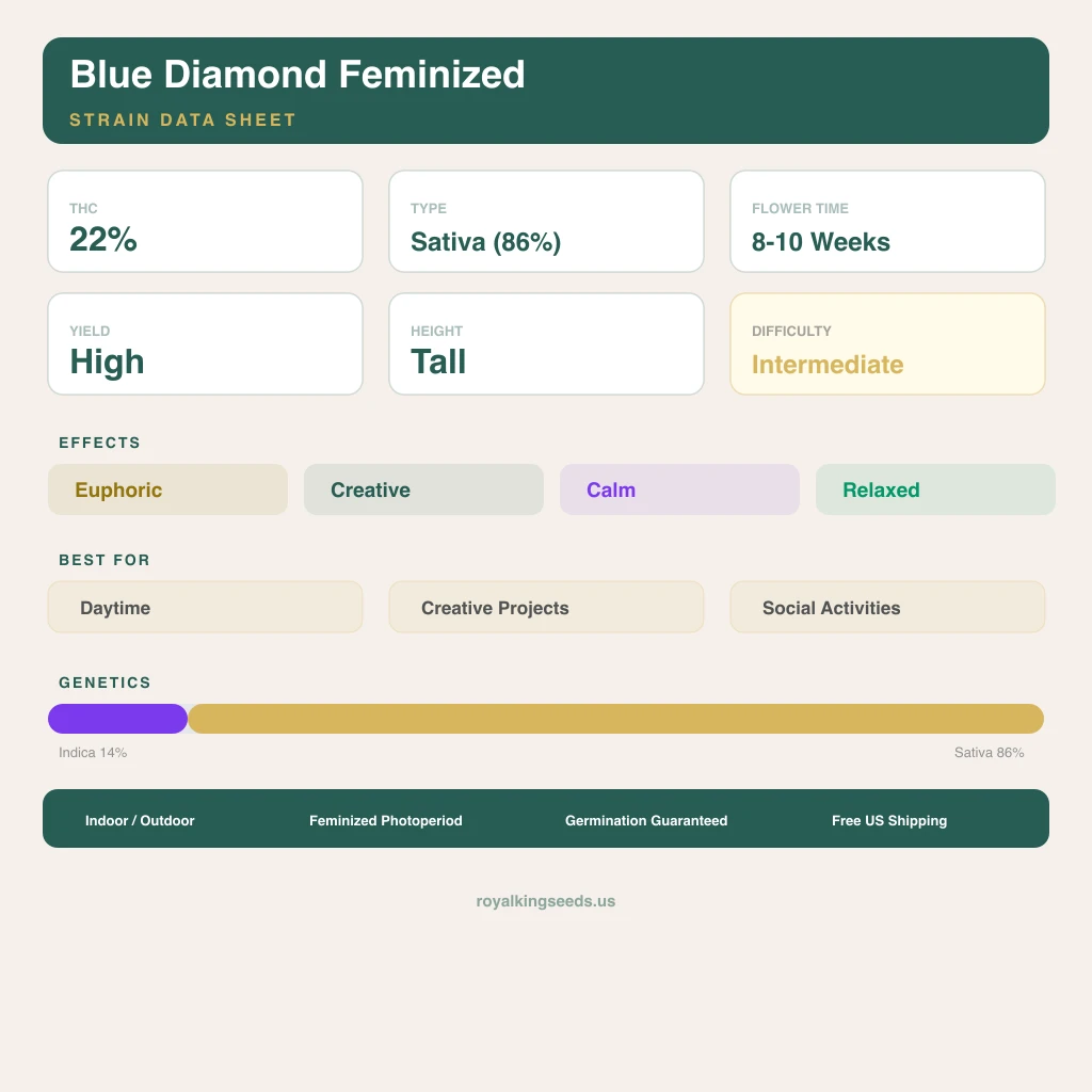 Blue Diamond 14% Indica / 86% Sativa — Blüte mit sichtbaren Trichomen