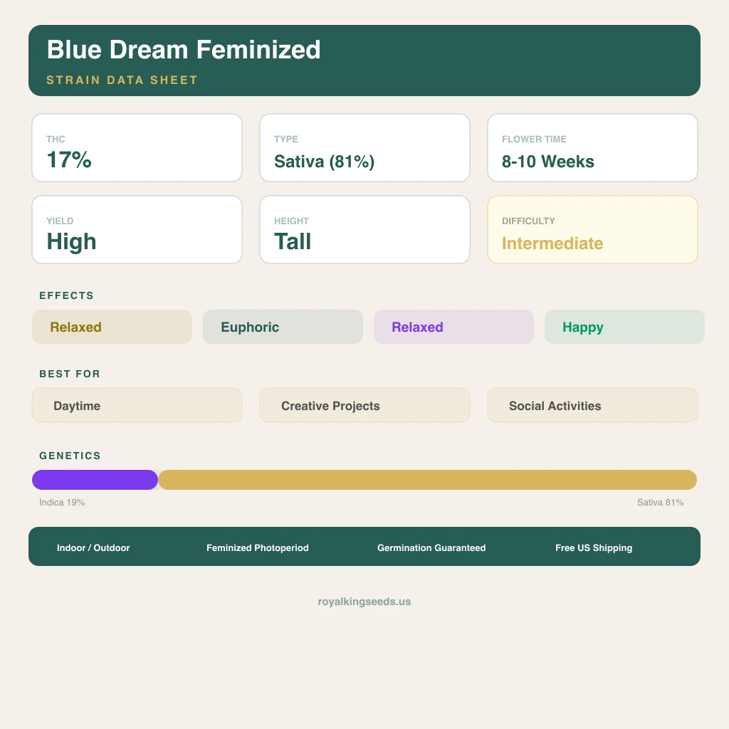 Blue Dream 19% Indica / 81% Sativa — Blüte mit sichtbaren Trichomen