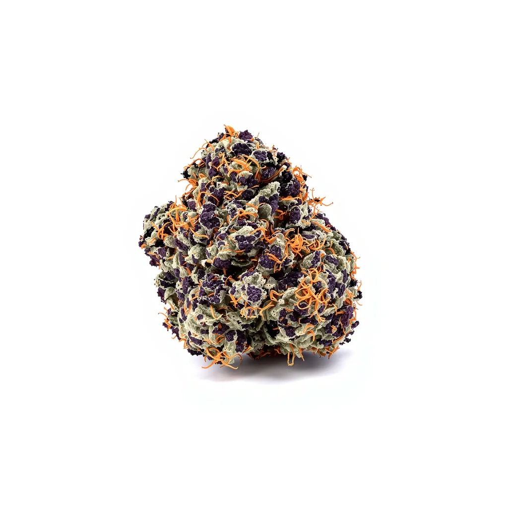 Blue Knight 76% Indica / 24% Sativa — Blüte mit sichtbaren Trichomen