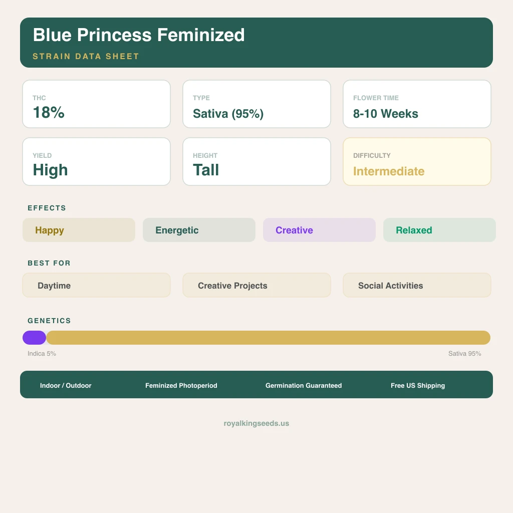 Blue Princess 5% Indica / 95% Sativa — Blüte mit sichtbaren Trichomen