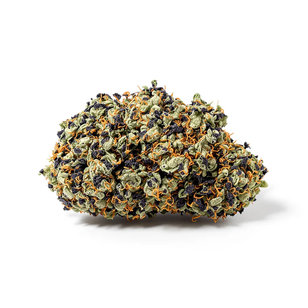 Buddha Tahoe 100% Indica / 50% Sativa — Blüte mit sichtbaren Trichomen