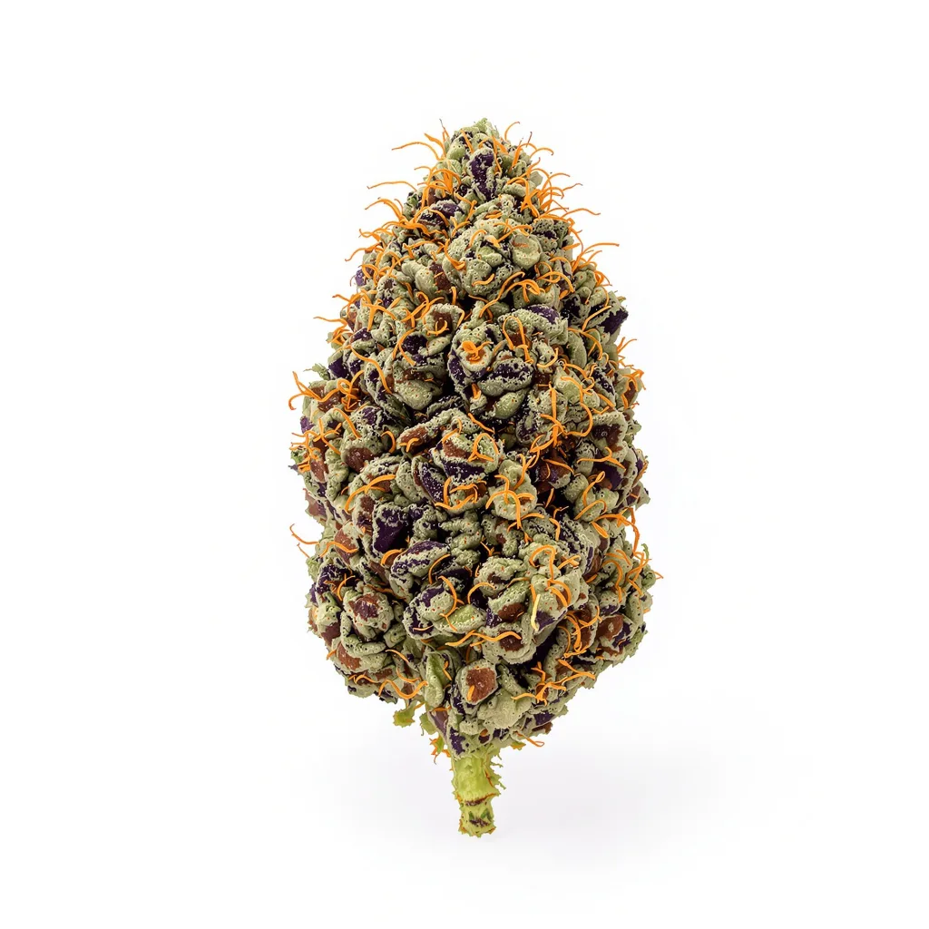 Burkle 78% Indica / 22% Sativa — Blüte mit sichtbaren Trichomen