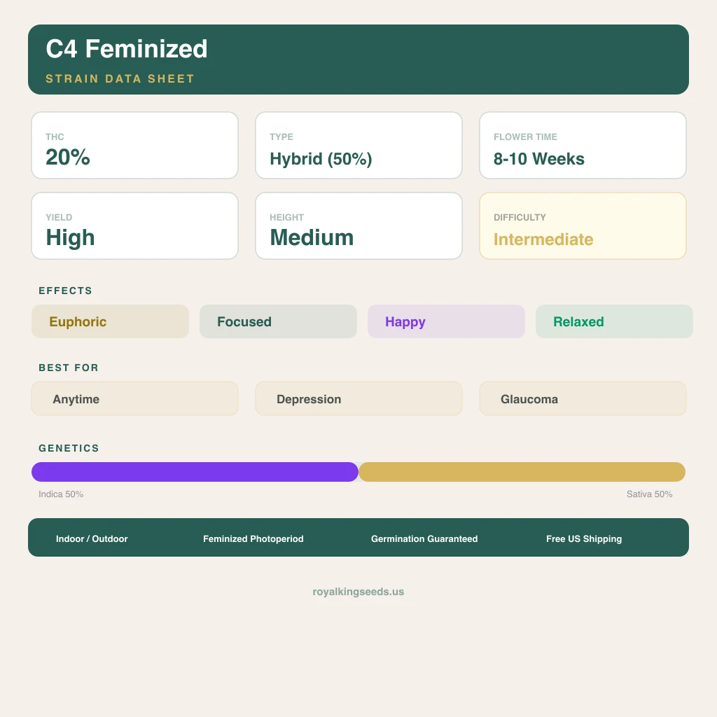 C4 50% Indica / 50% Sativa — Blüte mit sichtbaren Trichomen