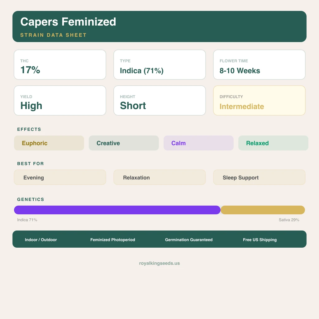 Capers 71% Indica / 29% Sativa — Blüte mit sichtbaren Trichomen