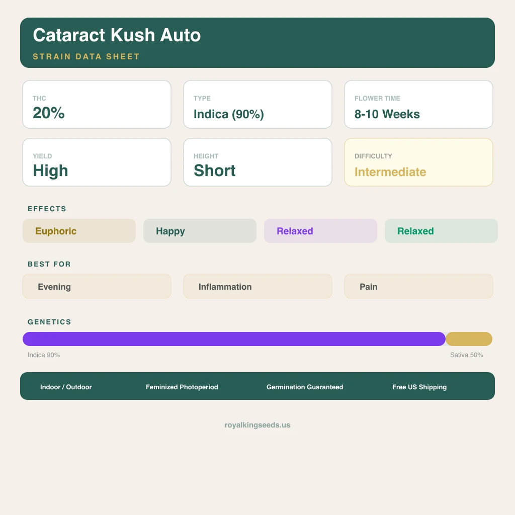 Cataract Kush 90% Indica / 50% Sativa — Blüte mit sichtbaren Trichomen