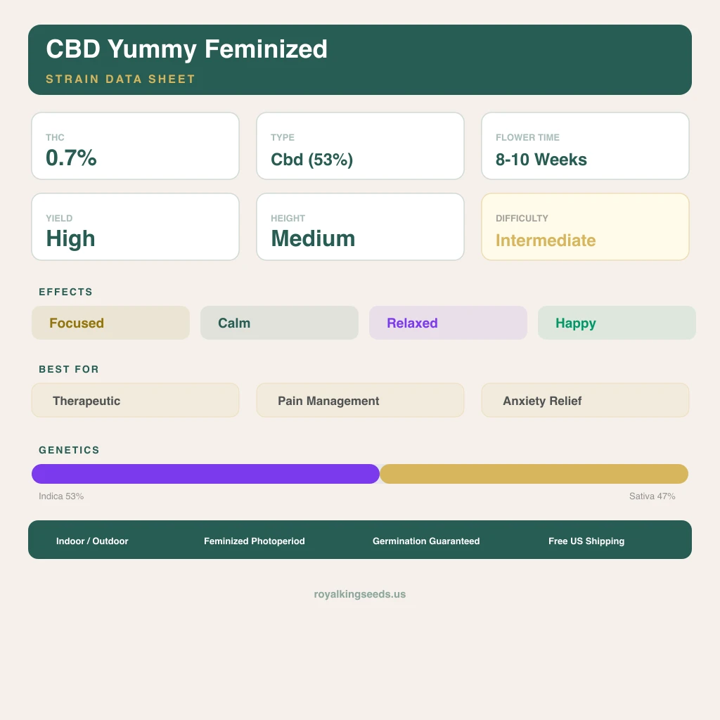 CBD Yummy 53% Indica / 47% Sativa — Blüte mit sichtbaren Trichomen