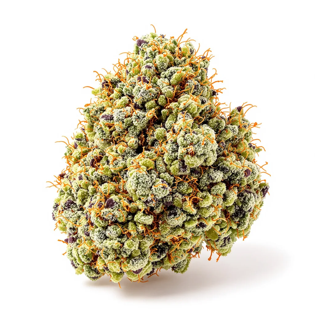 Champagne Kush 50% Indica / 50% Sativa — Blüte mit sichtbaren Trichomen