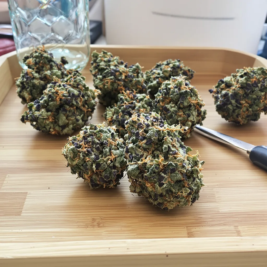 Chemo 66% Indica / 34% Sativa — Blüte mit sichtbaren Trichomen