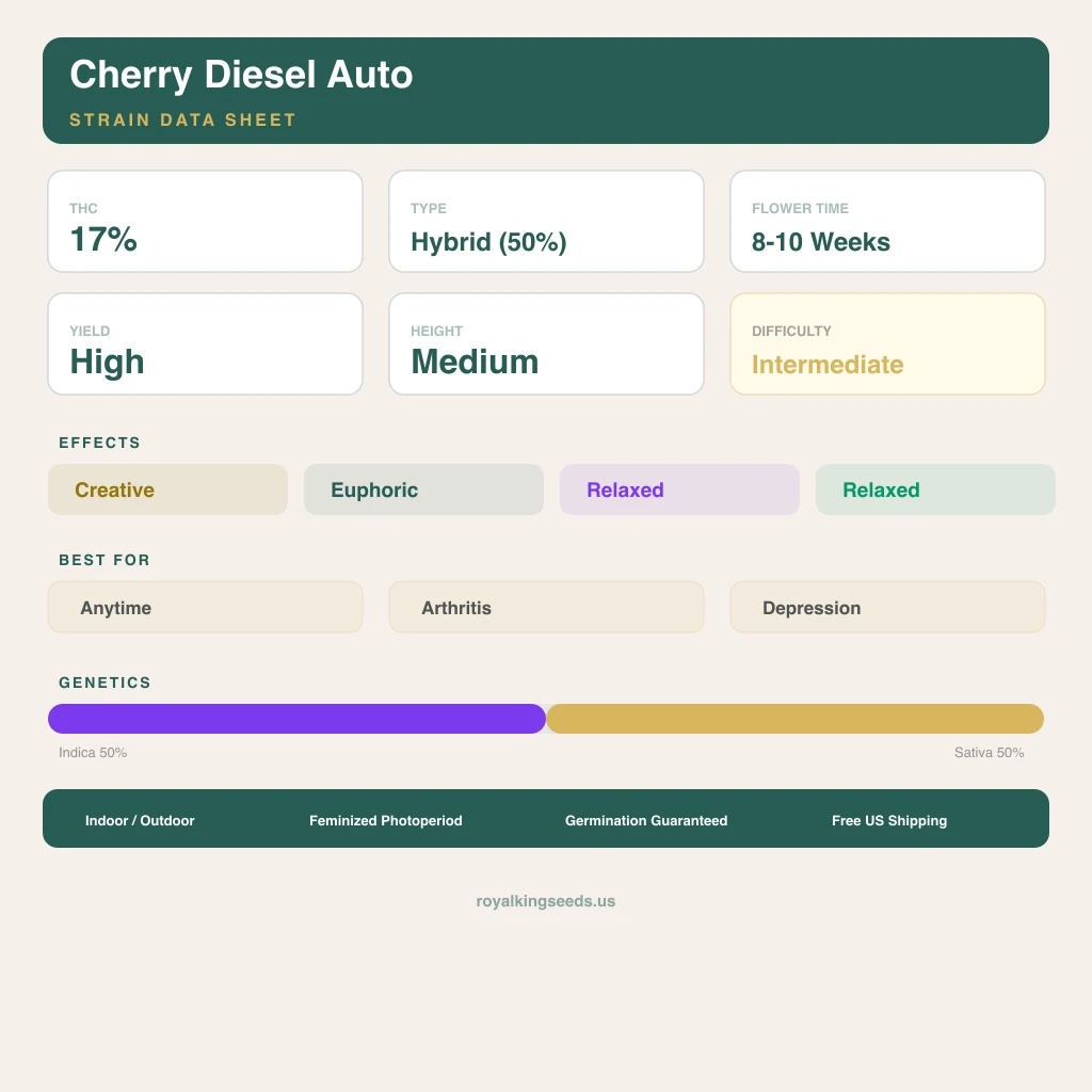 Cherry Diesel 50% Indica / 50% Sativa — Blüte mit sichtbaren Trichomen