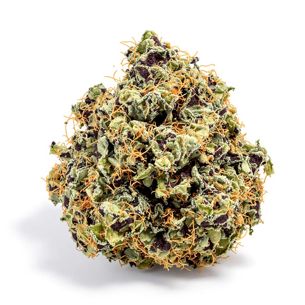 Cold War Kush 65% Indica / 35% Sativa — Blüte mit sichtbaren Trichomen