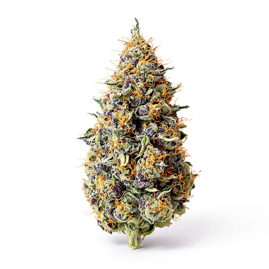 Cookie Jar 72% Indica / 28% Sativa — Blüte mit sichtbaren Trichomen