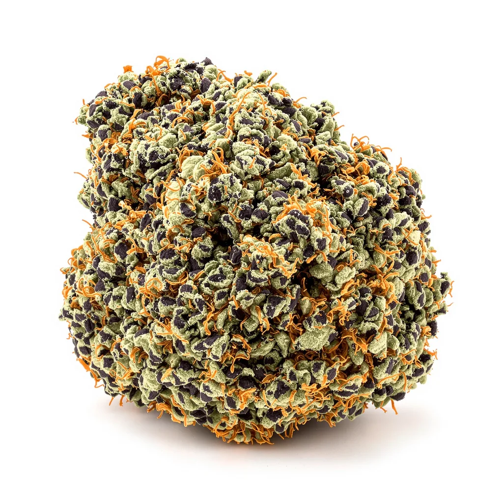 Critical Bilbo 72% Indica / 28% Sativa — Blüte mit sichtbaren Trichomen