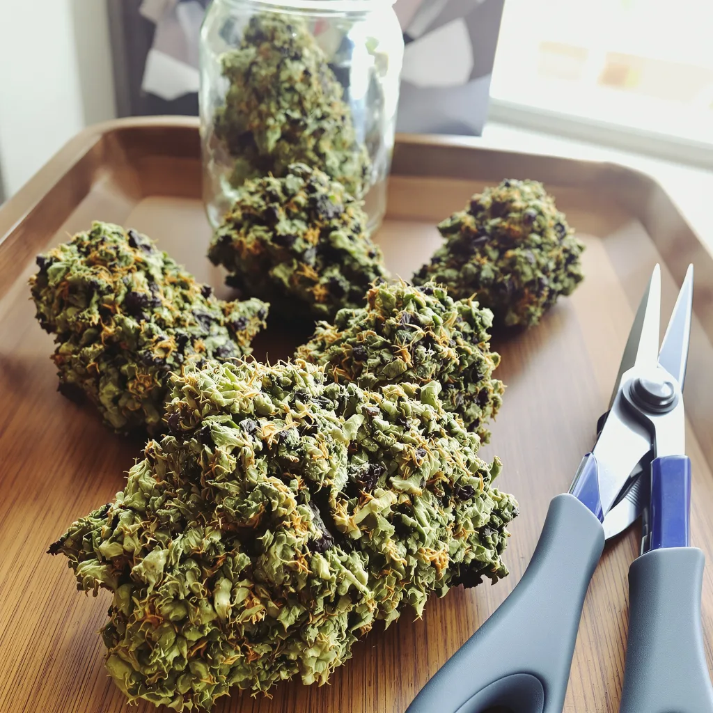 Crown Royale 83% Indica / 17% Sativa — Blüte mit sichtbaren Trichomen