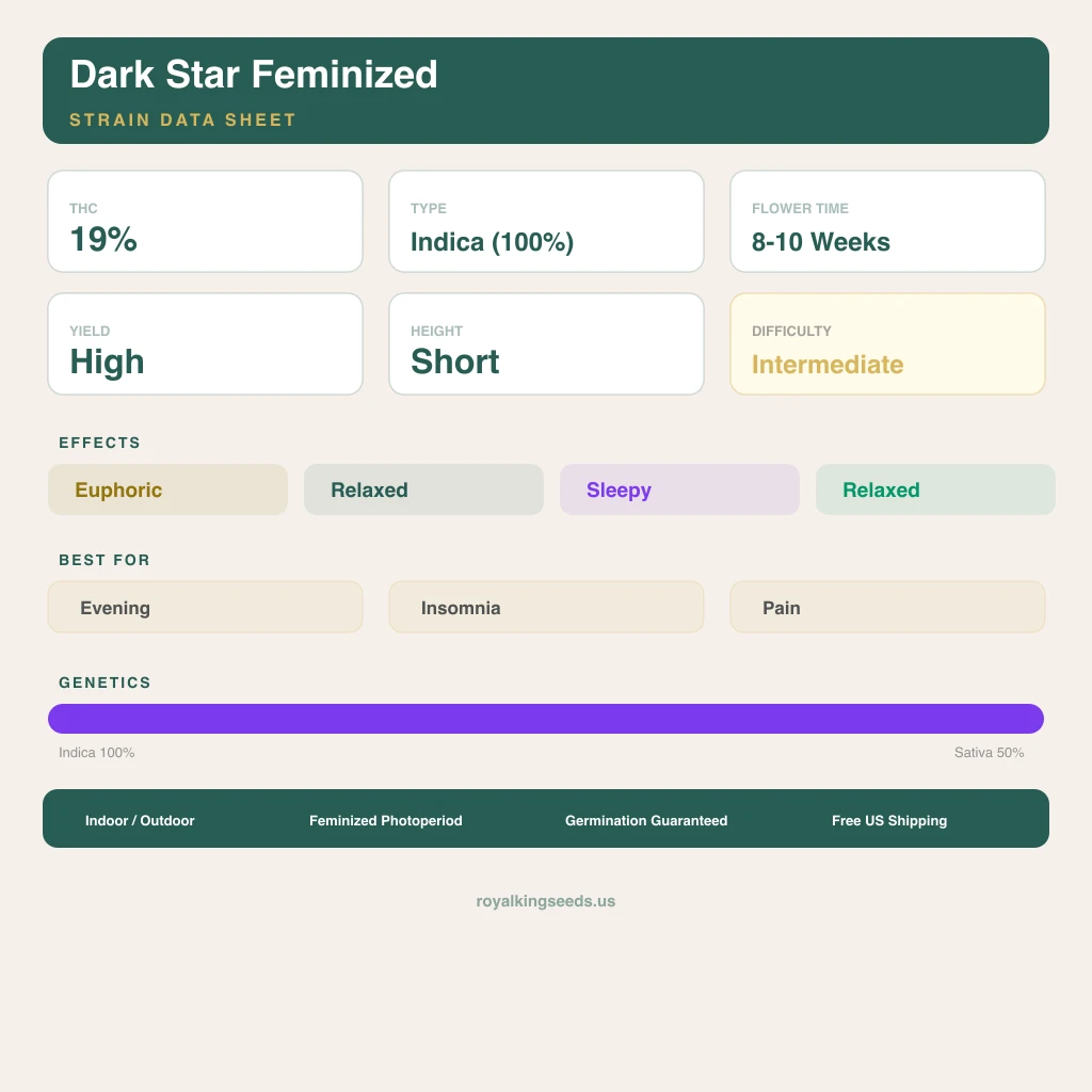 Dark Star 100% Indica / 50% Sativa — Blüte mit sichtbaren Trichomen