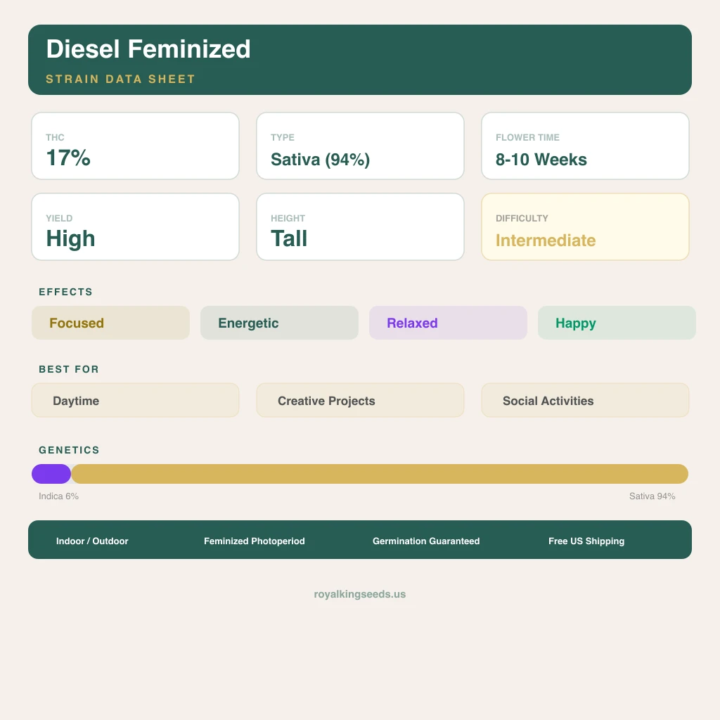 Diesel 6% Indica / 94% Sativa — Blüte mit sichtbaren Trichomen